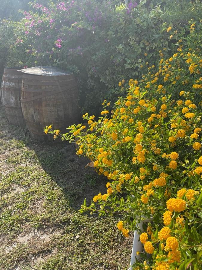 B&B Sunset Ercolano Zewnętrze zdjęcie