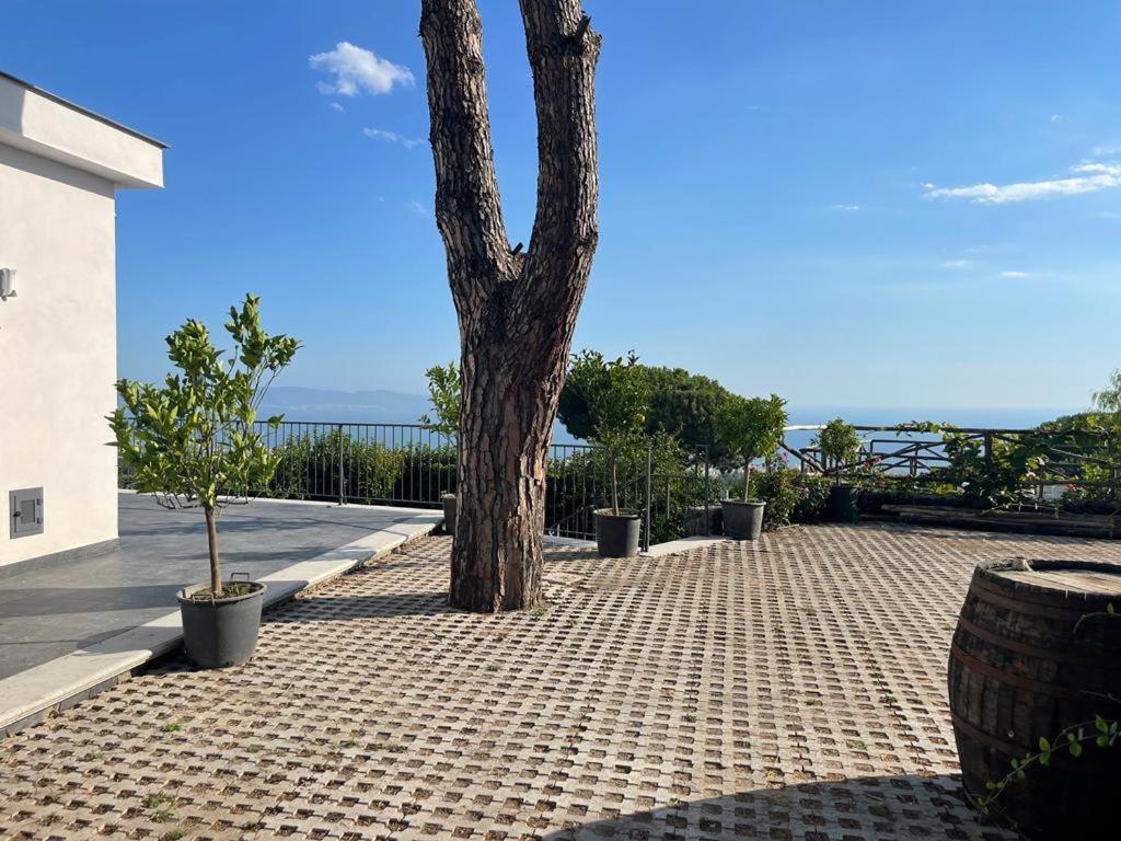 B&B Sunset Ercolano Zewnętrze zdjęcie
