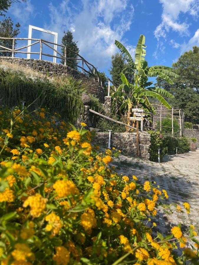 B&B Sunset Ercolano Zewnętrze zdjęcie