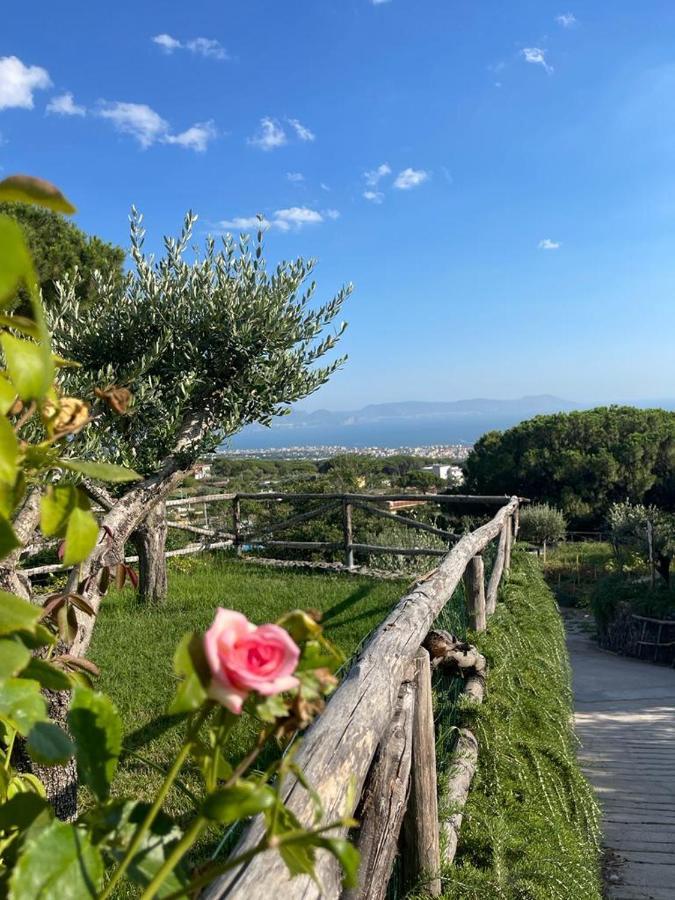 B&B Sunset Ercolano Zewnętrze zdjęcie