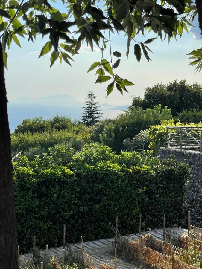 B&B Sunset Ercolano Zewnętrze zdjęcie