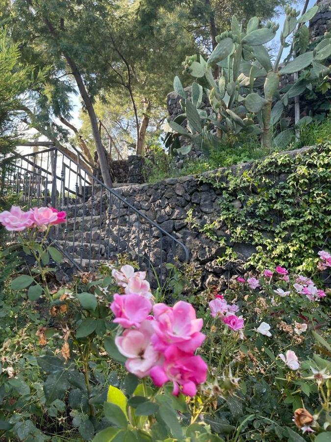 B&B Sunset Ercolano Zewnętrze zdjęcie